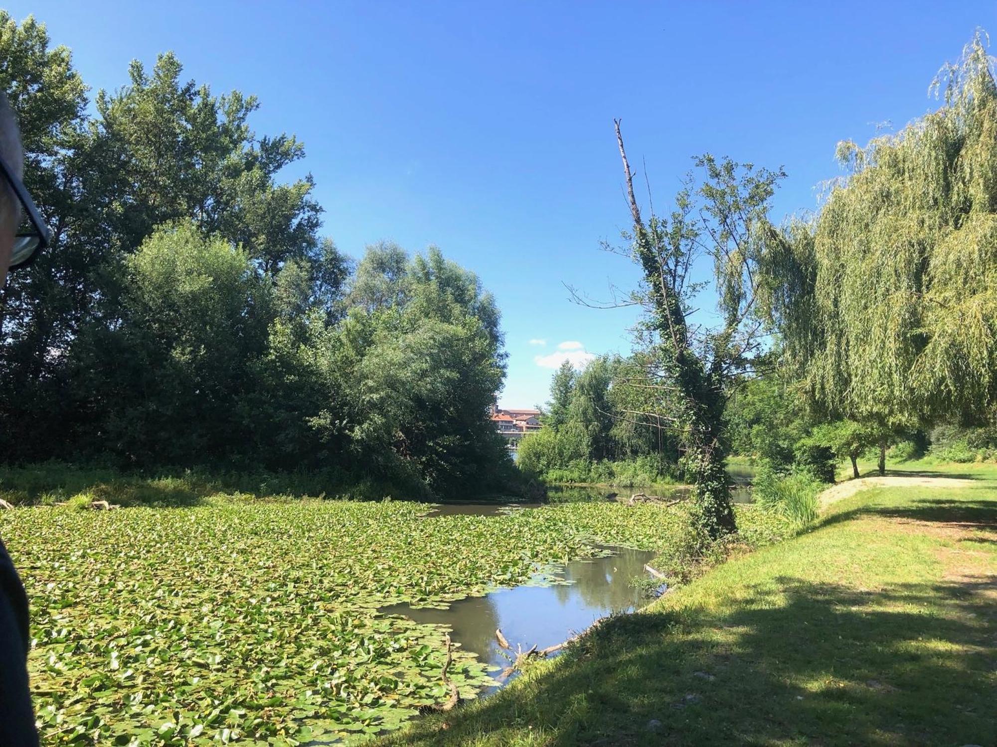 Beautiful Village House Next To Garonne River! Couladere Buitenkant foto