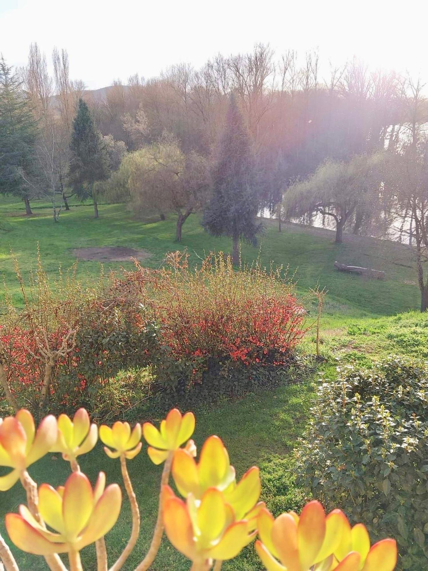 Beautiful Village House Next To Garonne River! Couladere Buitenkant foto